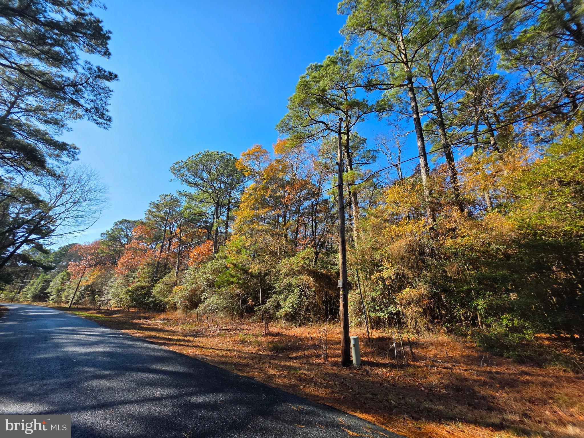 ROCK CREEK PARK - Land
