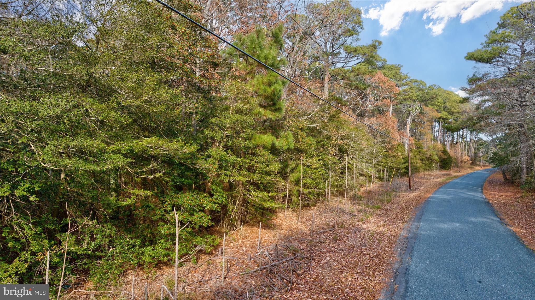 ROCK CREEK PARK - Land