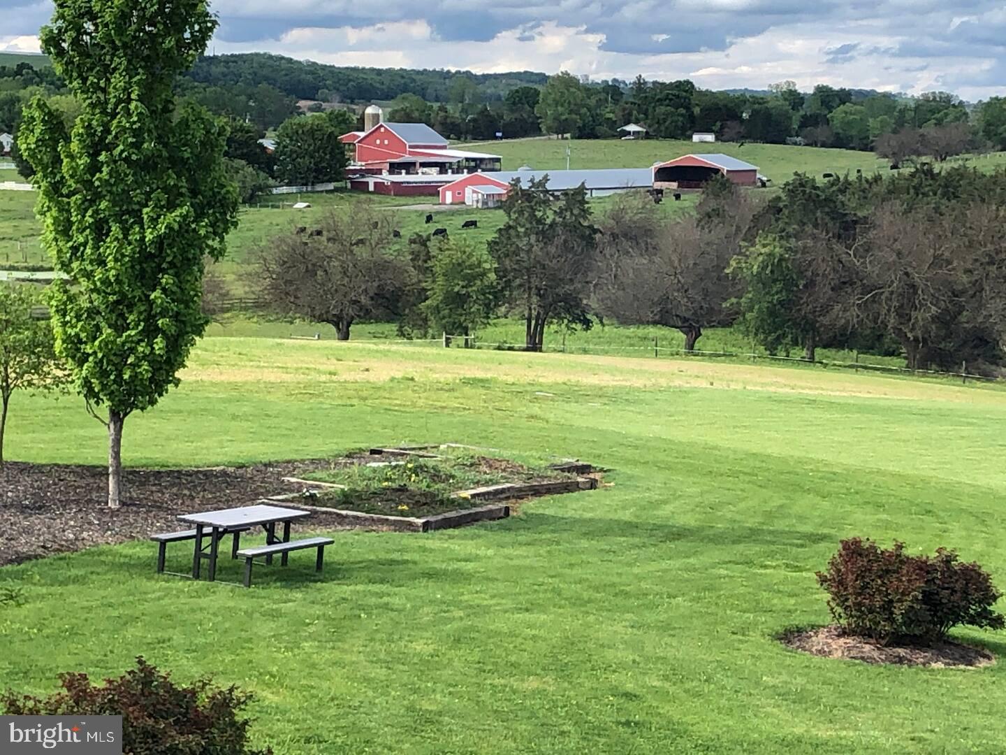 MOUNT CRAWFORD - Farm