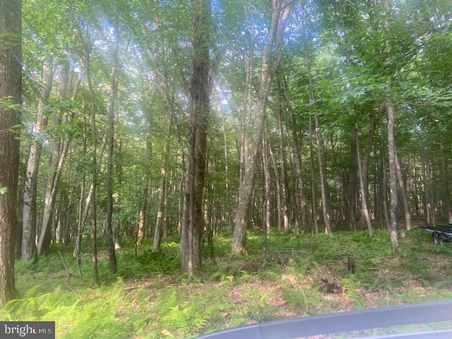 Nestled on a generous 1.14-acre lot, this exceptional piece of land offers a unique opportunity to create your dream retreat, perfectly positioned just 926 feet from the shimmering waters of Deep Creek Lake. Imagine waking up to the gentle sounds of nature, with the promise of adventure just moments away. This property is a canvas for your vision, where luxury meets the tranquility of lakeside living. The allure of Deep Creek Lake is undeniable, providing a stunning backdrop for a lifestyle filled with outdoor activities and serene moments. With private access to the lake, you can easily indulge in canoeing or kayaking, allowing you to explore the pristine waters at your leisure. The community dock enhances your experience, offering a perfect spot for leisurely afternoons spent fishing or simply soaking in the breathtaking views. This land is not just a place to build; it's an invitation to embrace a lifestyle defined by elegance and comfort. Picture a custom-designed home that harmonizes with the natural beauty surrounding it, featuring expansive windows that frame picturesque views of the lake and lush landscapes. The potential for outdoor living spaces is limitless, from sun-drenched patios to serene gardens, all designed to enhance your connection with nature. The proximity to Deep Creek Lake means that every day can be an adventure. Whether you're hosting summer gatherings by the water, enjoying peaceful mornings with a cup of coffee while watching the sunrise, or taking part in seasonal activities, this location offers a lifestyle that is both exclusive and inviting. With navigable waters and a community that values the beauty of the outdoors, this property is a rare find for those seeking a luxurious escape. The combination of land, water access, and the potential for a bespoke residence creates an unparalleled opportunity to live life to the fullest. Embrace the chance to create a sanctuary that reflects your personal style while enjoying the high-end features and exclusive lifestyle that this remarkable property offers. Your dream home awaits, ready to be crafted in this idyllic lakeside setting.