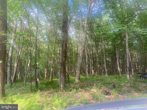 MALLARD LAKE TRL SWANTON MD 21561