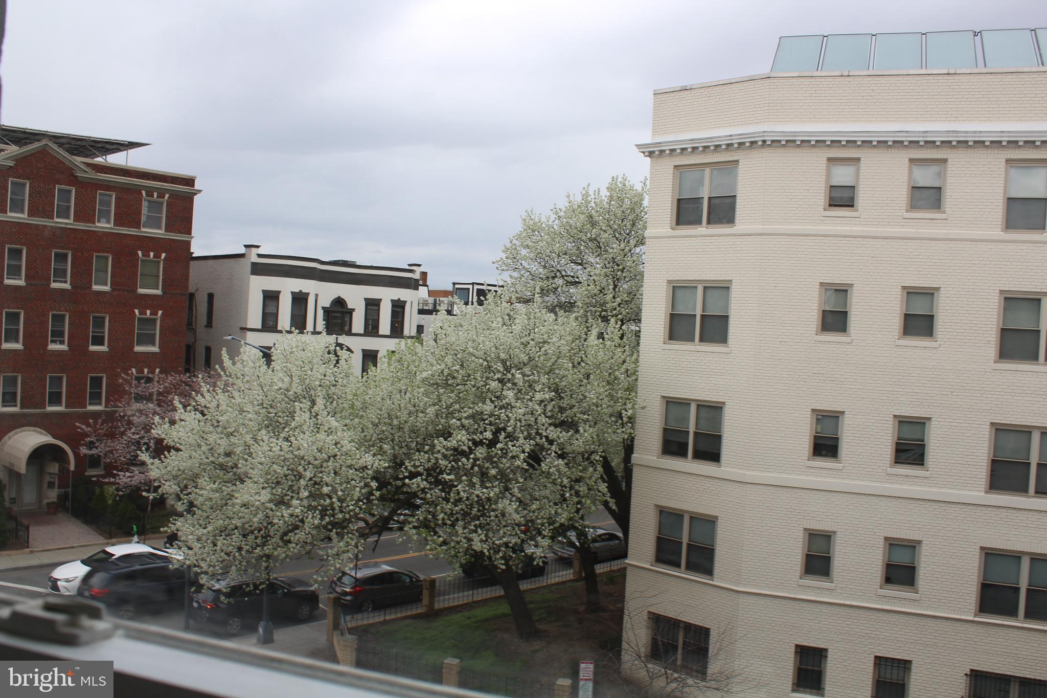 1204 MONROE STREET NW 3