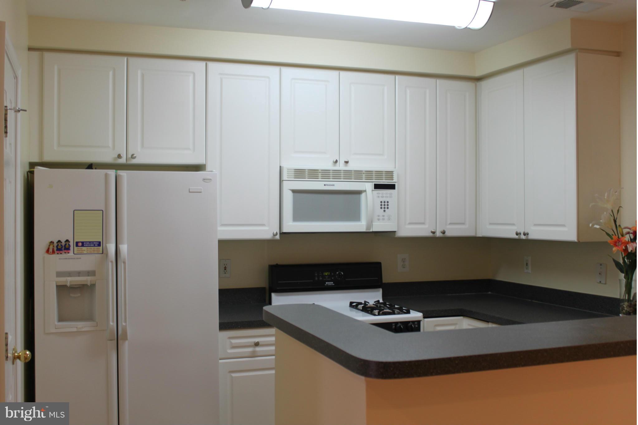 MANORS AT MCNAIR FARMS - Residential