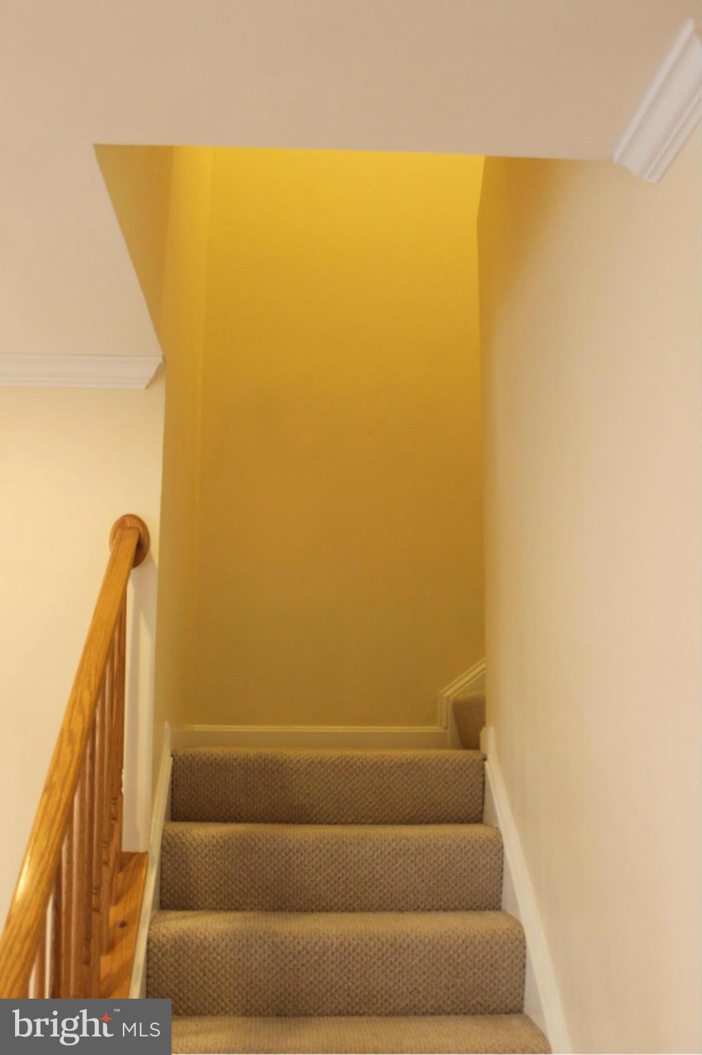 MANORS AT MCNAIR FARMS - Residential