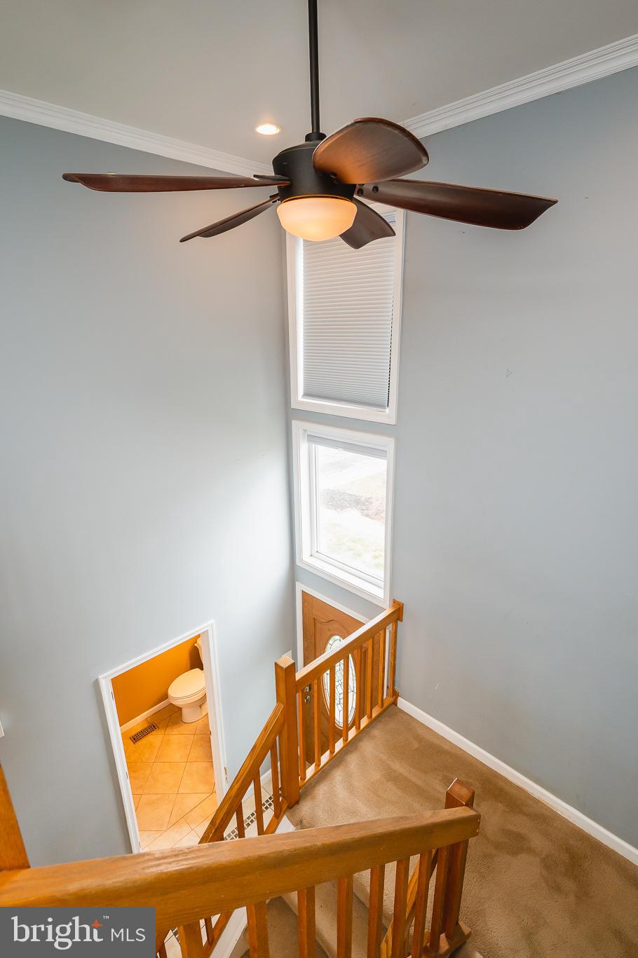 CONSTANT BRANCH - Residential