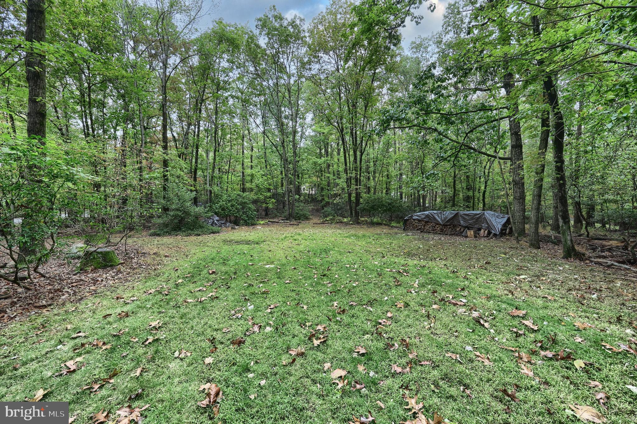 811 LAUREL WOODS LANE