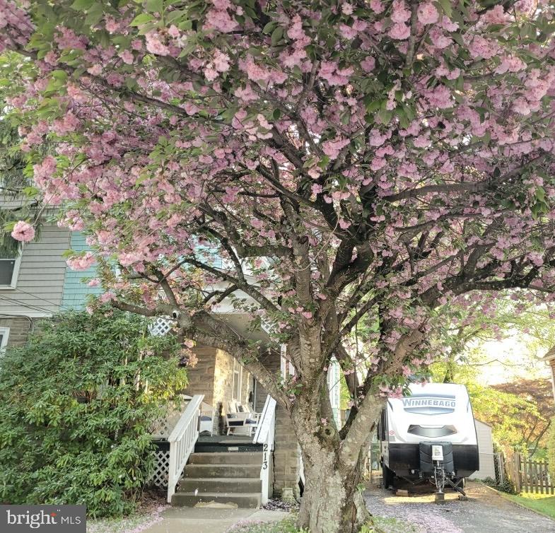 213 WALNUT STREET