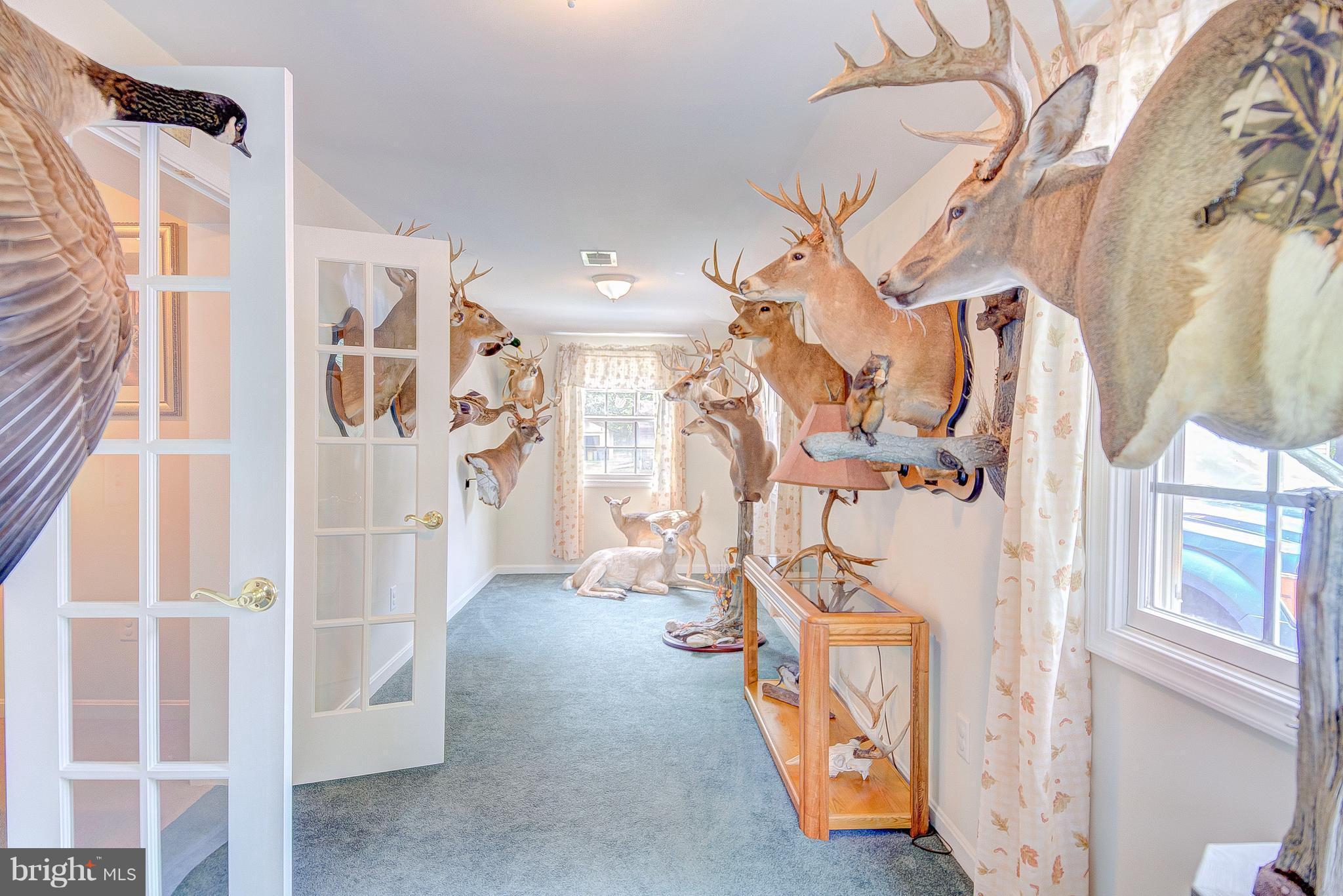 SHADY SIDE - Residential