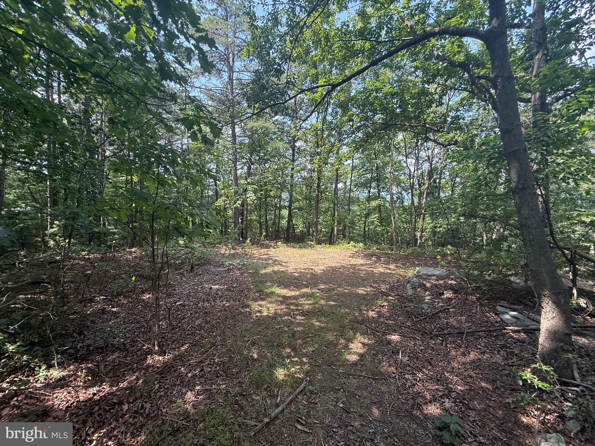 SPRUCE PINE HOLLOW - Residential