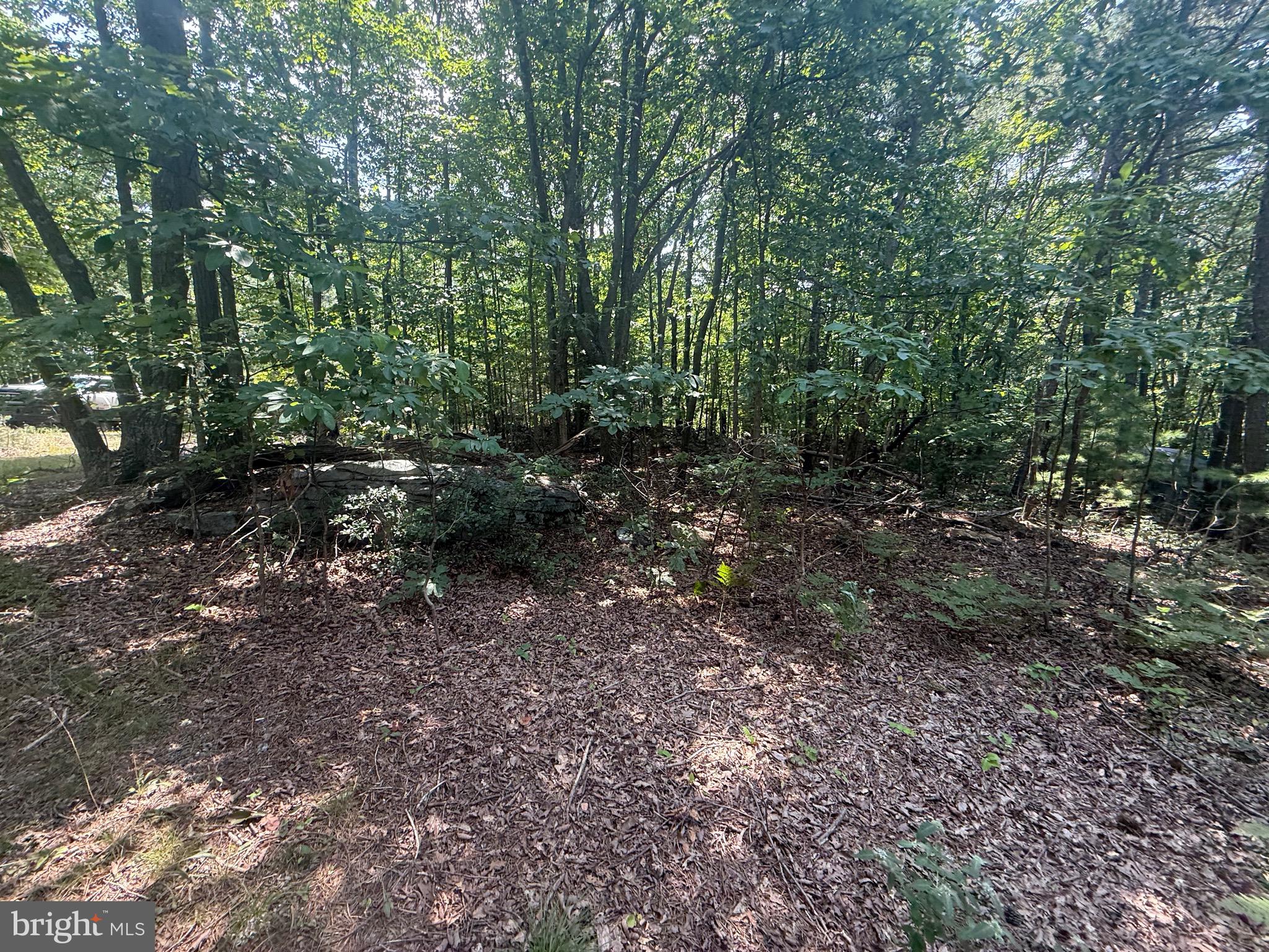 SPRUCE PINE HOLLOW - Residential