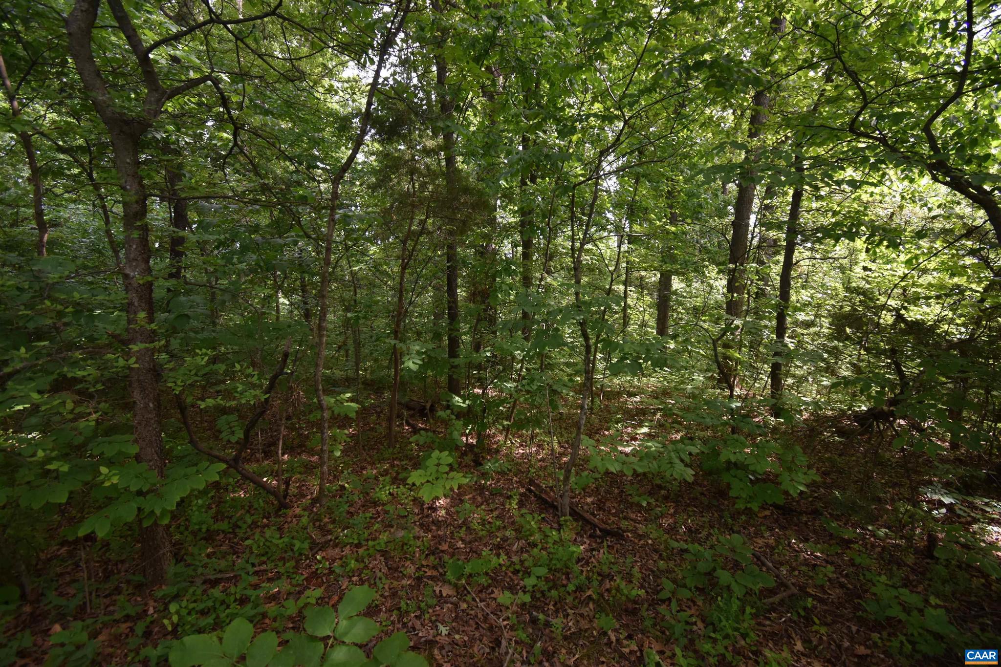 WOODLEY MEADOWS - Land