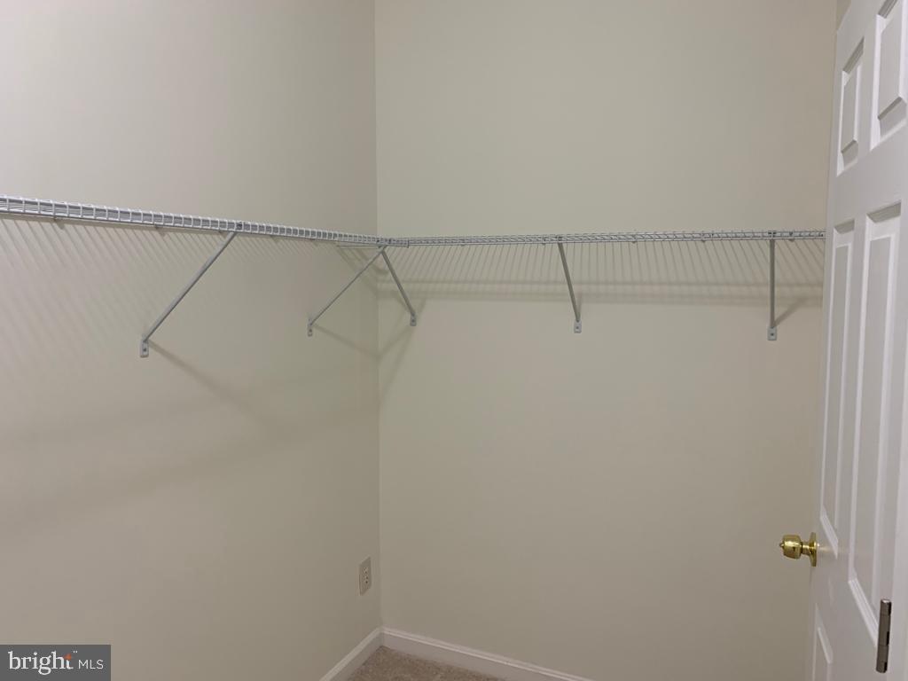 COLECHESTER VILLAGE - Residential