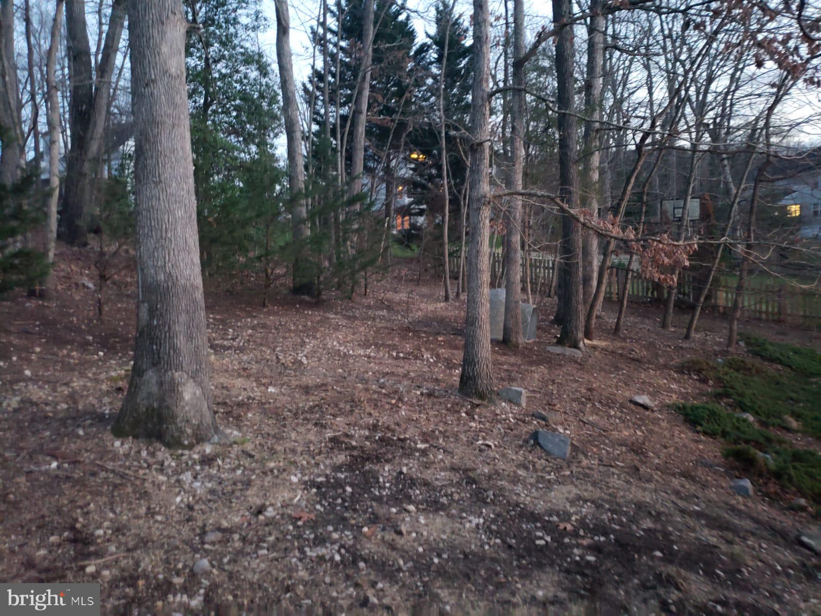 COLECHESTER VILLAGE - Residential