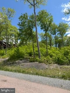 NORTH CAMP ROAD LOT 69
