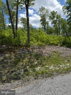 NORTH CAMP ROAD LOT 69