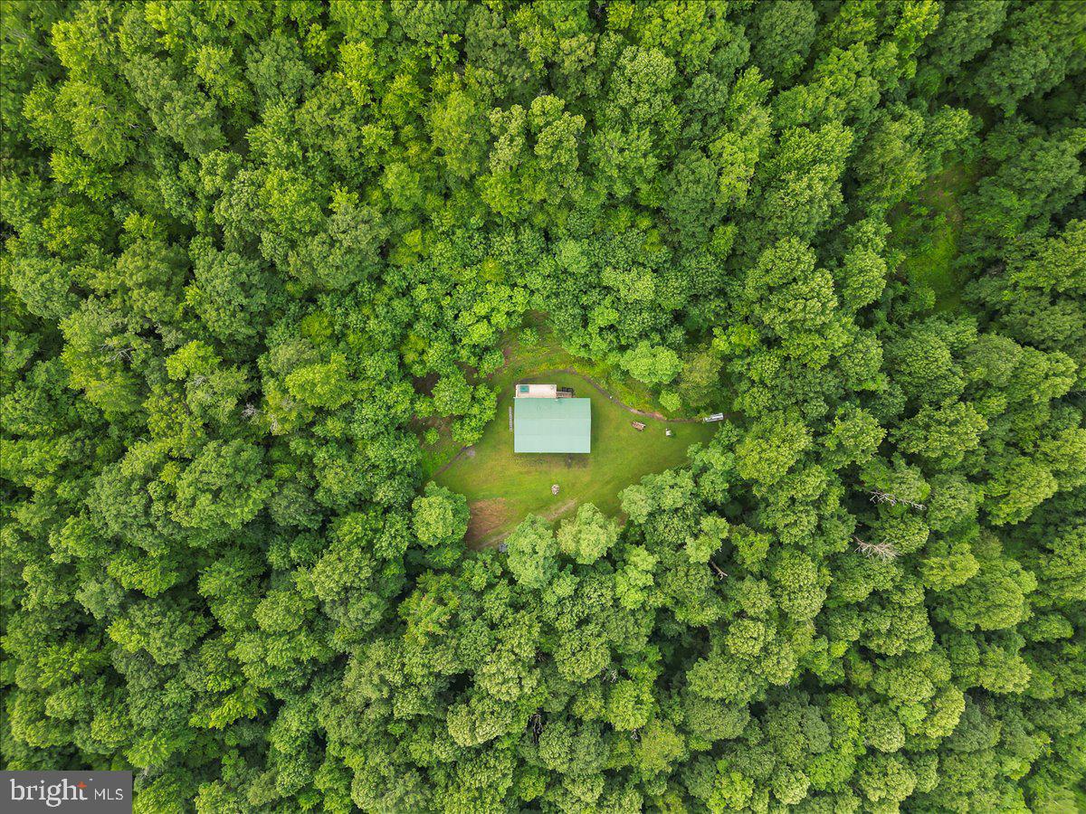 611 TIMBER TRAIL