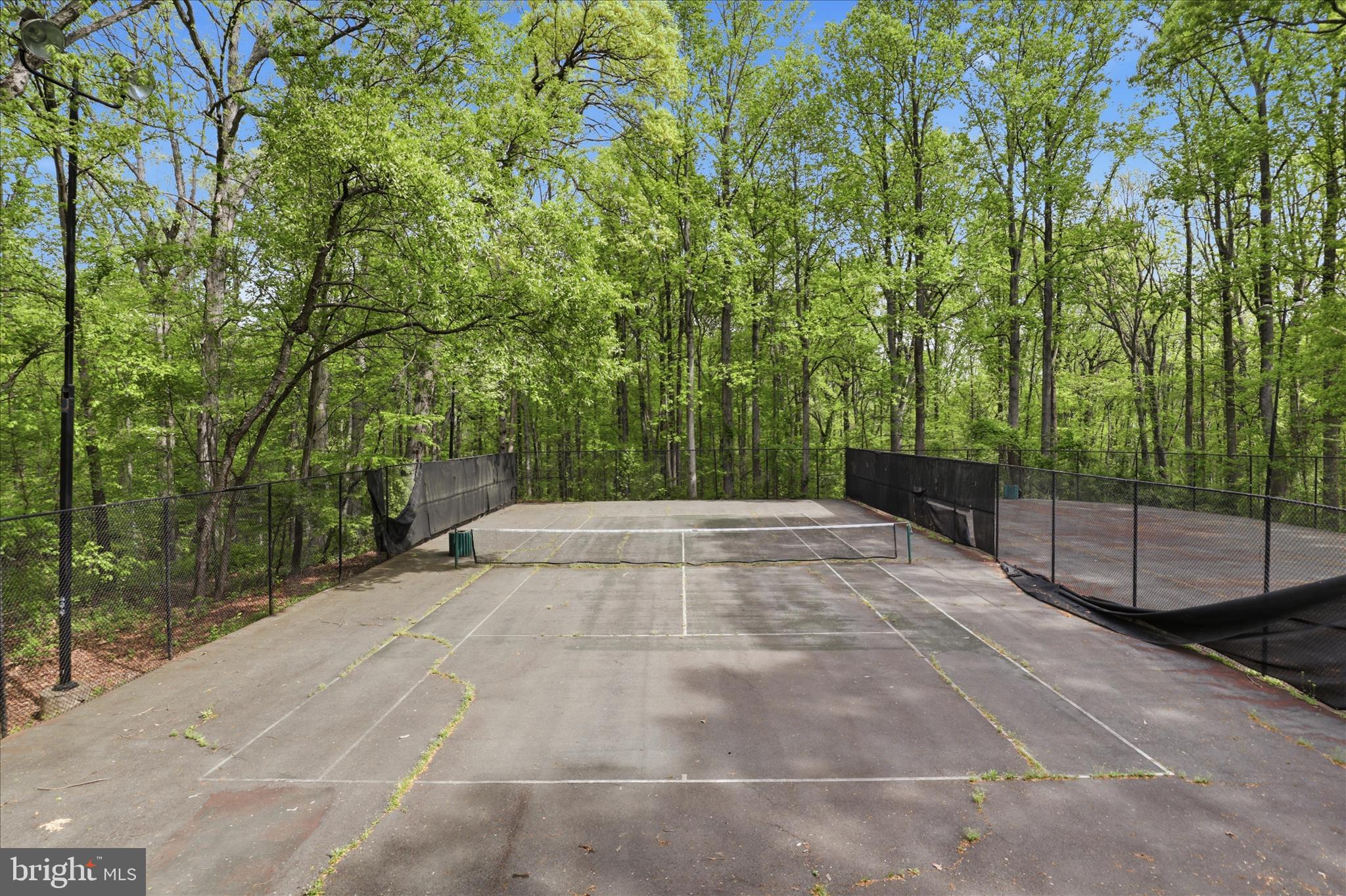 CARDINAL FOREST - Residential