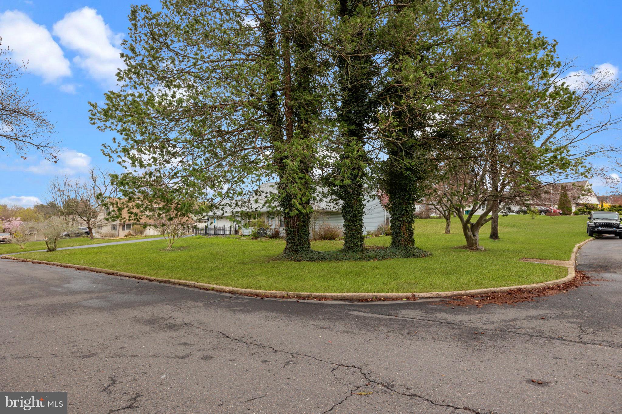 SNOWBALL GATE - Residential