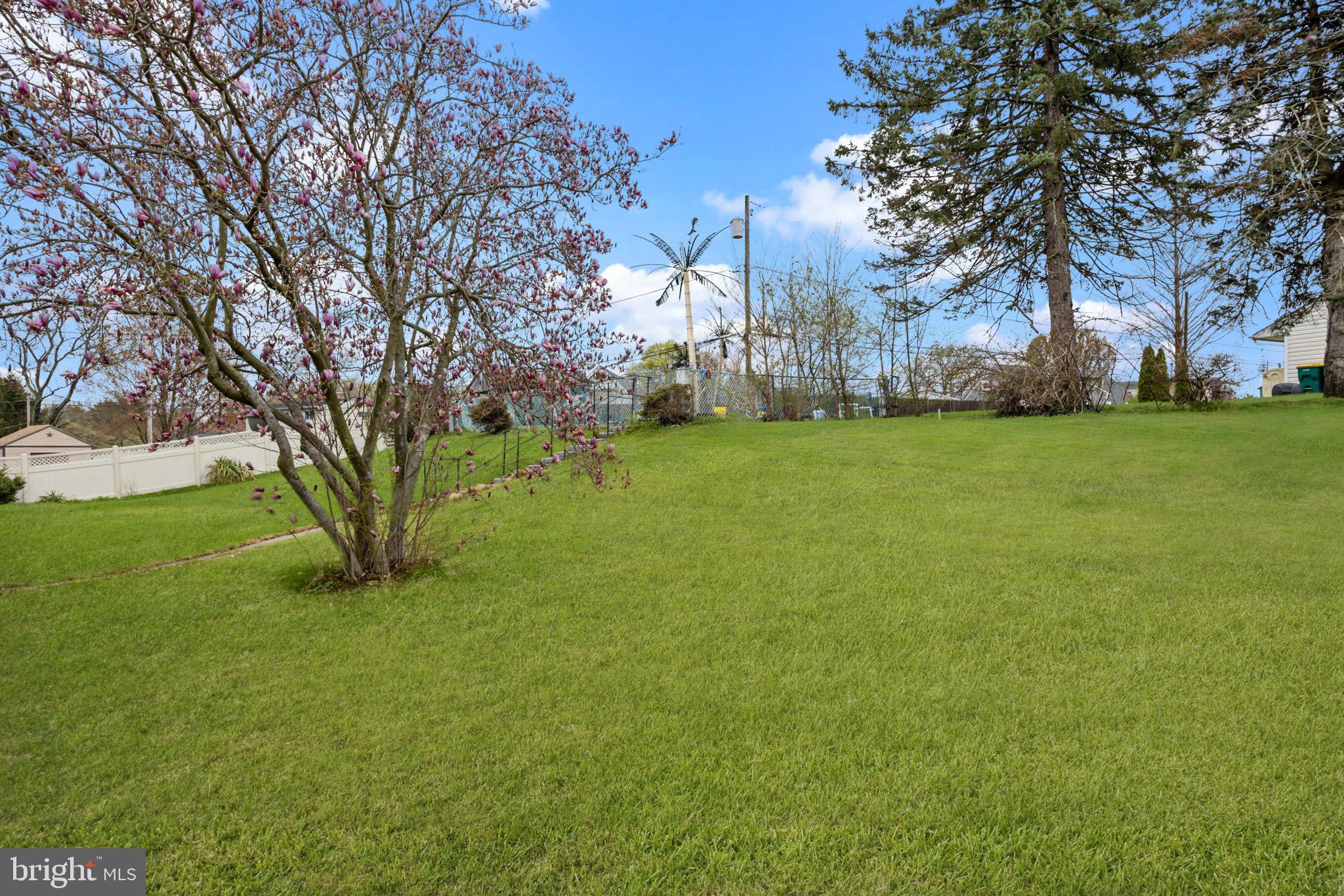 SNOWBALL GATE - Residential