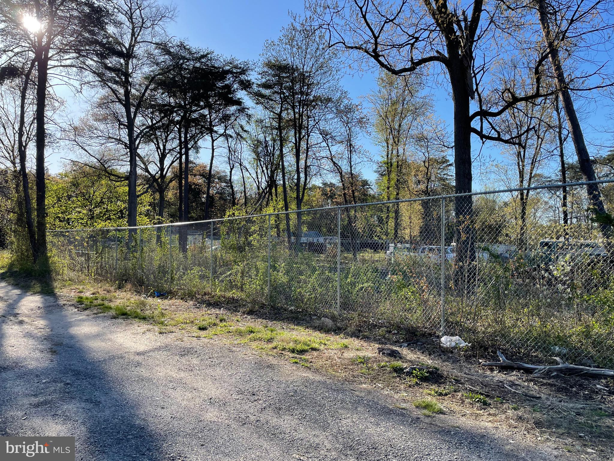 BERTRAM AVENUE