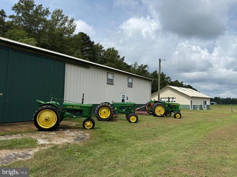 Vacant Land For Sale - 6794 Bent Pine Road<br/> Wicomico County, WILLARDS, MD 21874