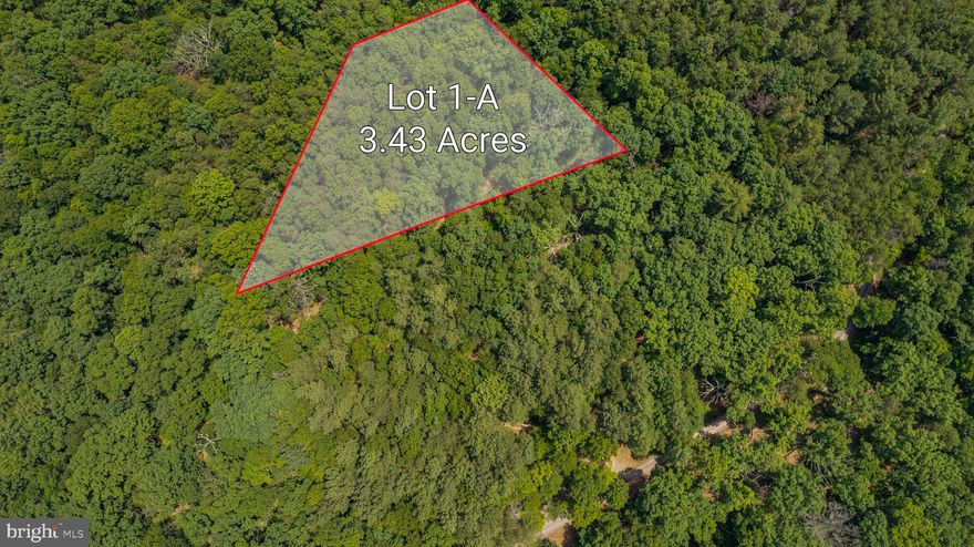 Discover the perfect canvas for your dream home on this picturesque 3.43-acre (Lot 1-A) parcel nestled in the charming South Berkeley Springs area. With a rolling topography and a nicely wooded landscape, this property offers a serene and private setting for your new home.

Features include an excellent building site, ready for your custom design, septic and well permits already in hand, approximately 30 minutes to I-81 and light restrictions.

Don't miss out on making this stunning property yours! Lot 1-B ( 3.18 acres) also available.