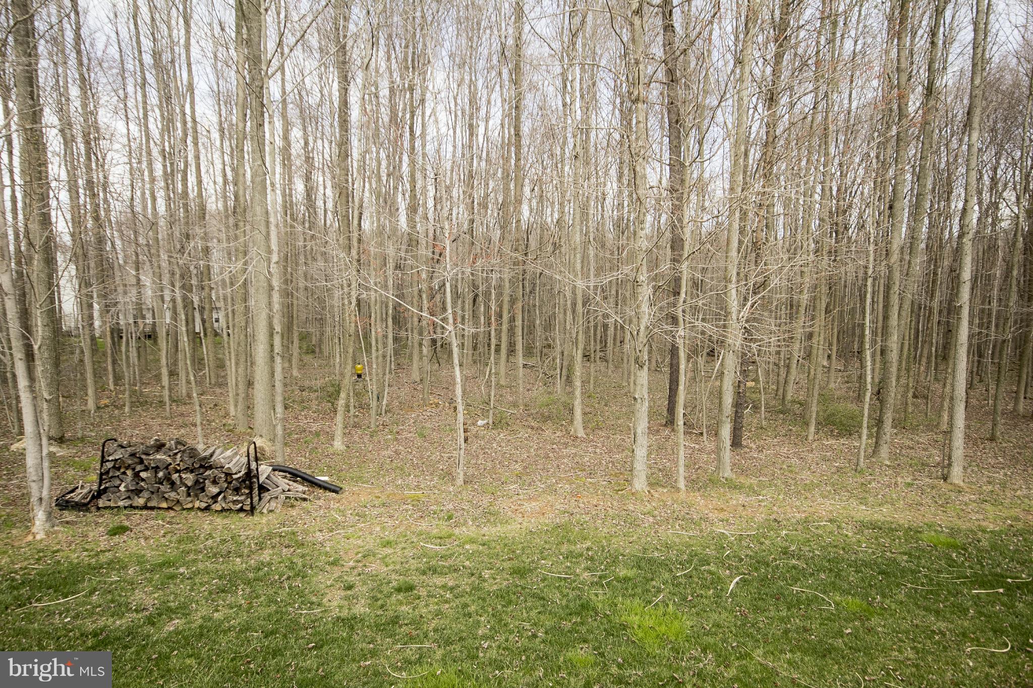 WINDEMERE - Residential