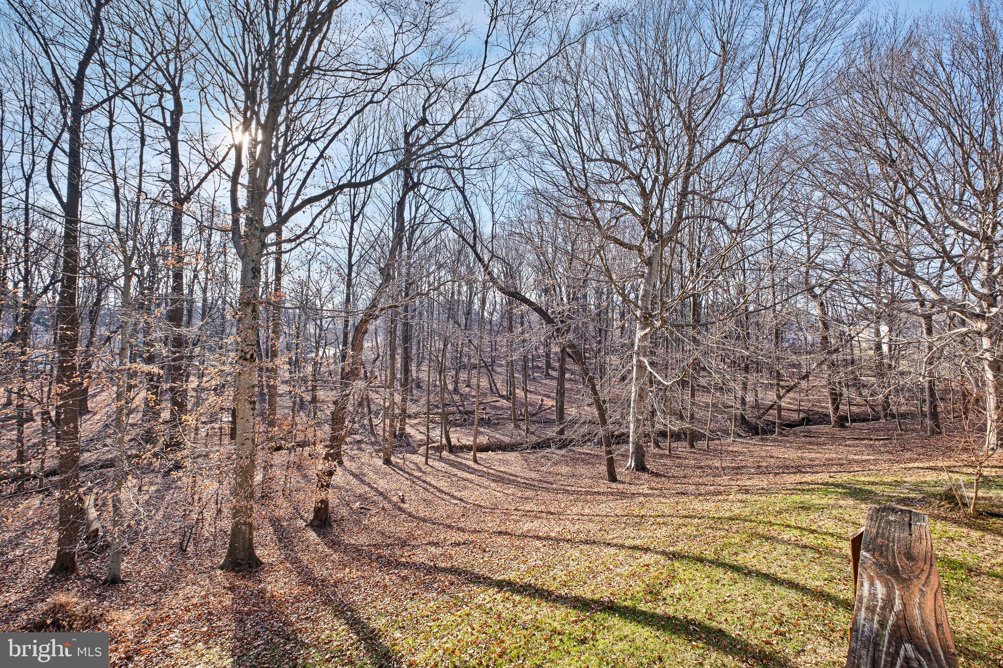 LIMESTONE HILLS - Residential