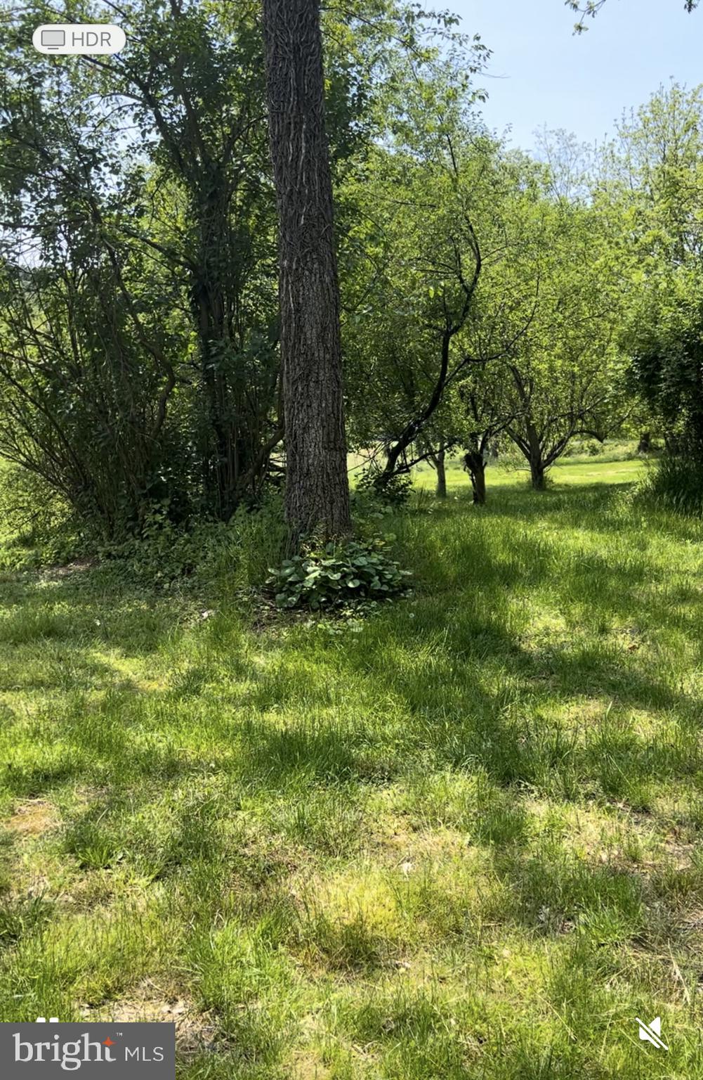 MANHEIM TWP - Residential