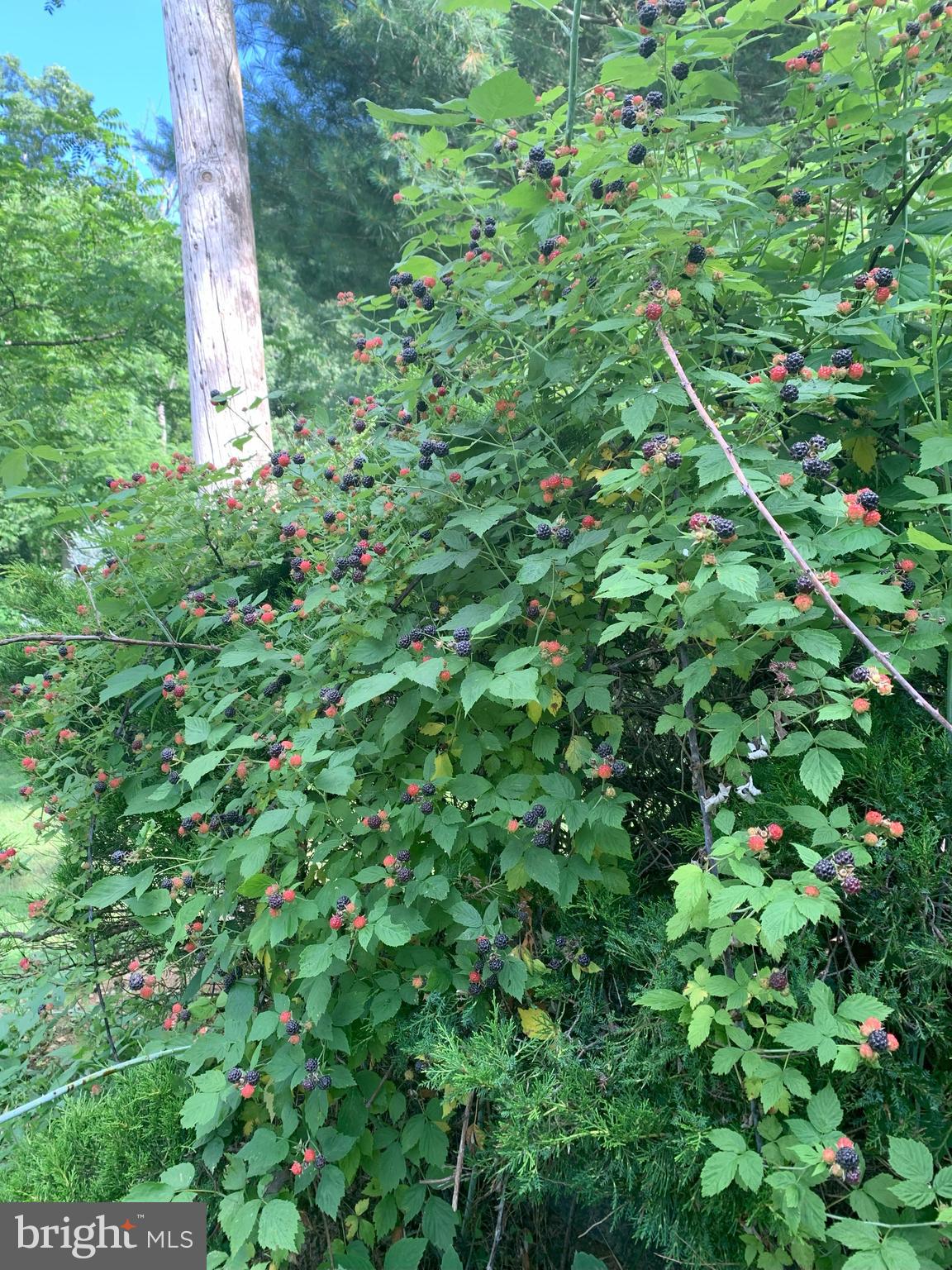 MANHEIM TWP - Residential