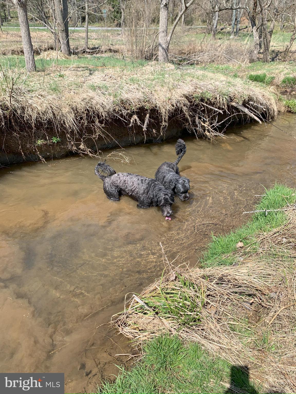 MANHEIM TWP - Residential