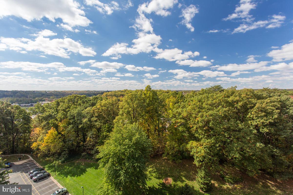 WATERGATE AT LANDMARK - Residential