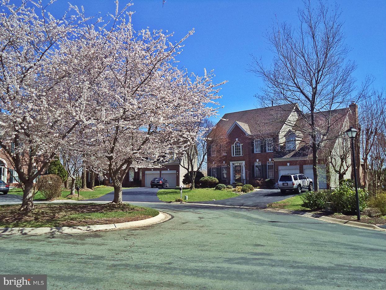 POTOMAC GROVE - Residential