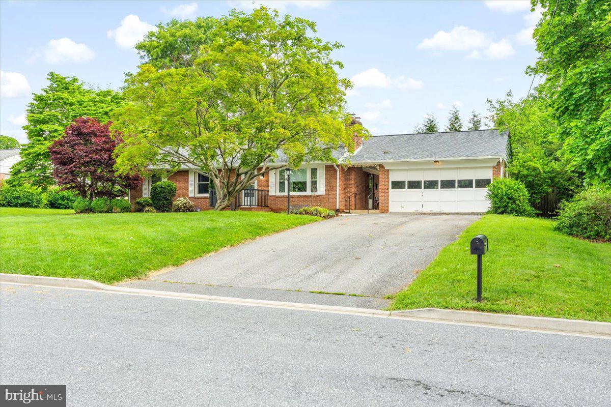 5 LOCUST BOULEVARD