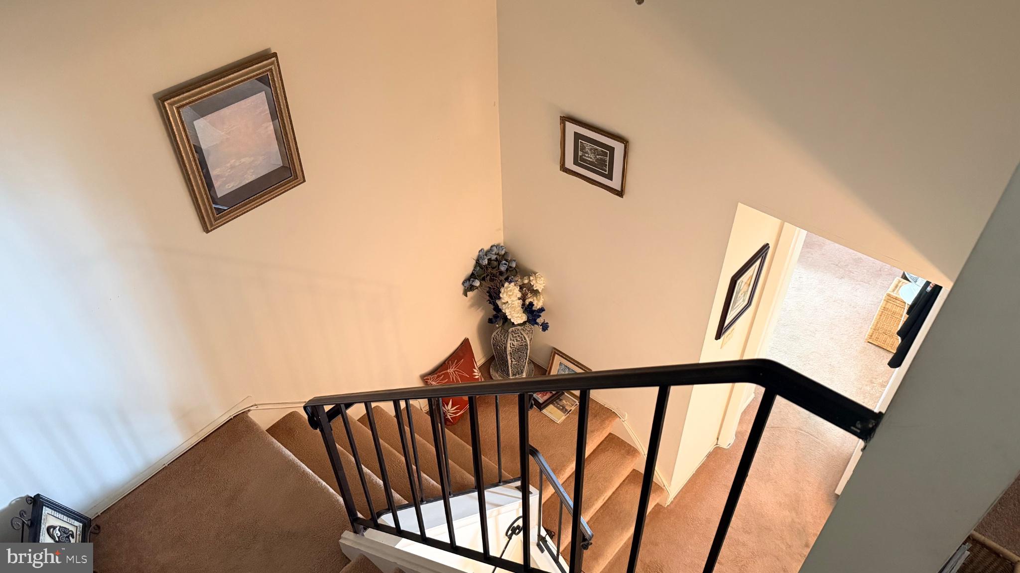 524 SHETLAND COURT