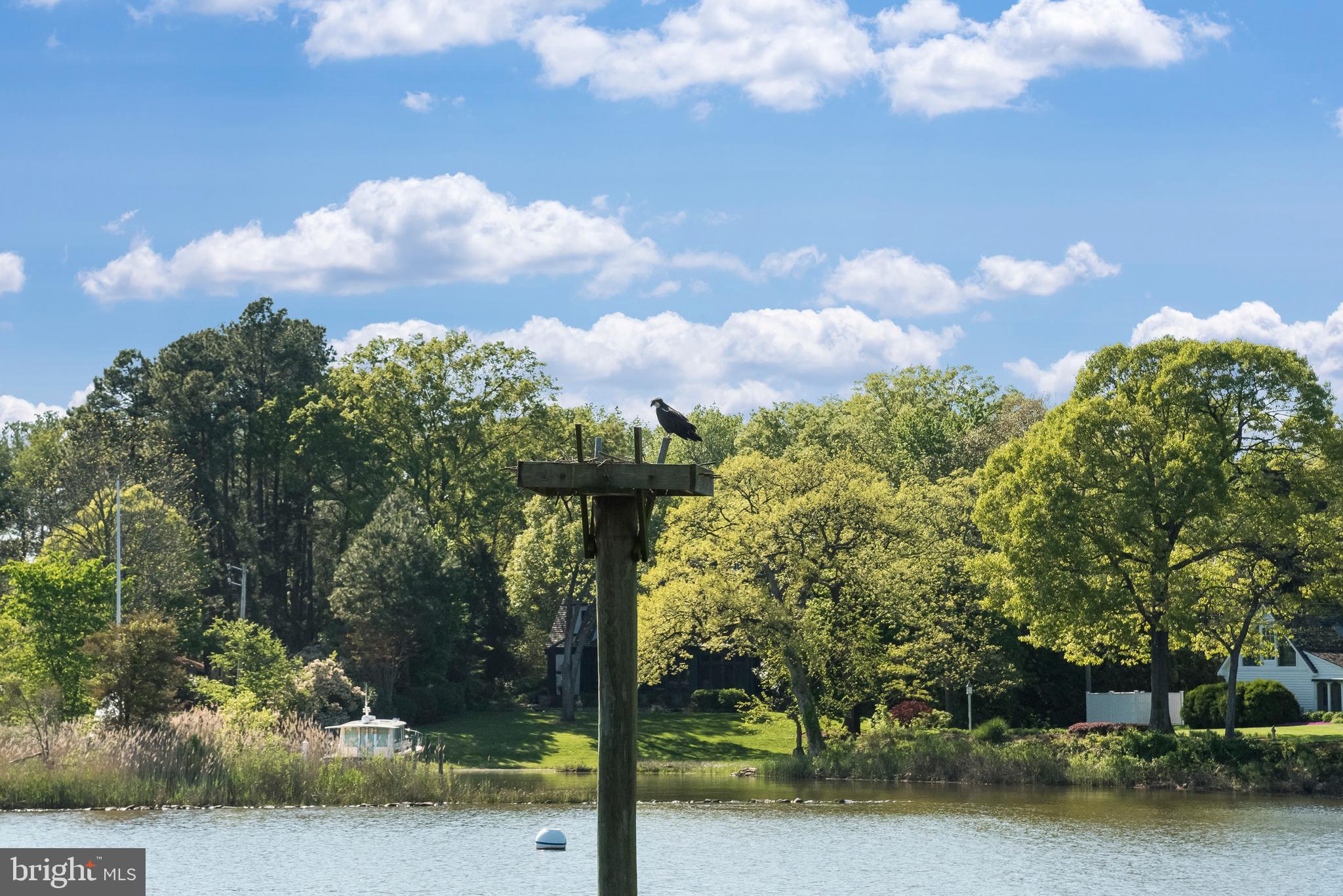HARNESS CREEK - Residential