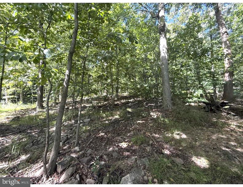 LOT 59 DOGWOOD ROAD