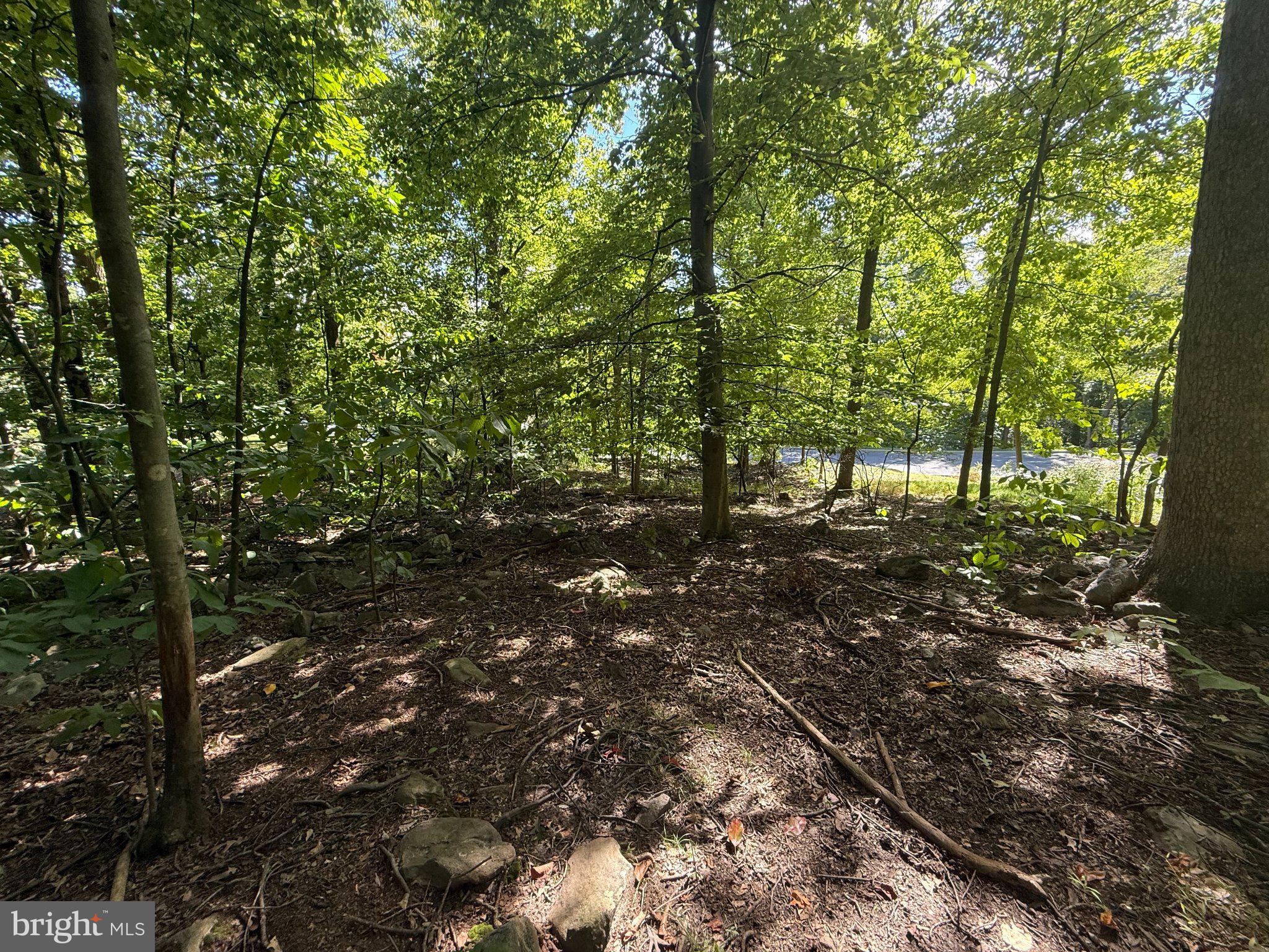 LOT 59 DOGWOOD ROAD
