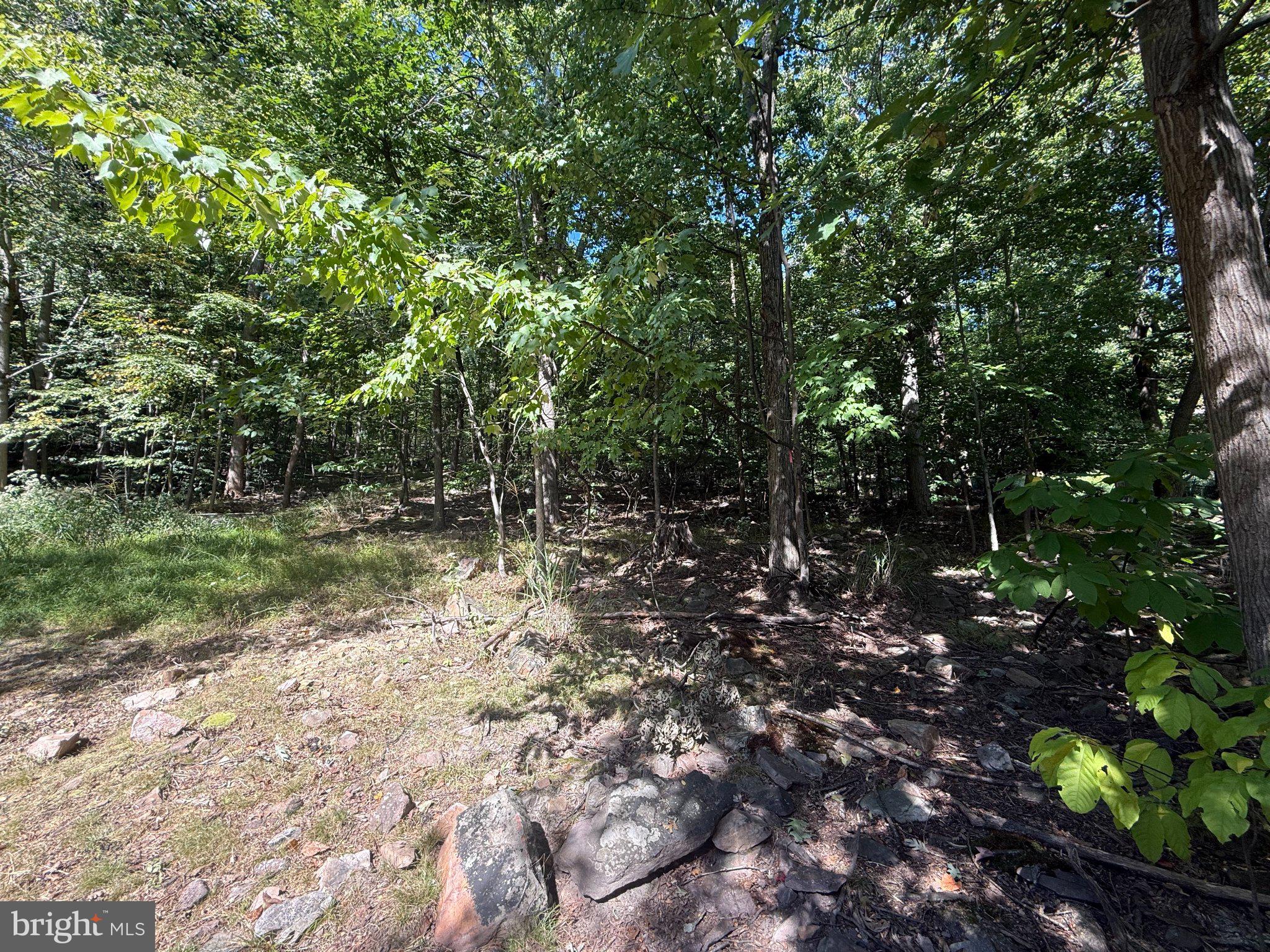 LOT 59 DOGWOOD ROAD