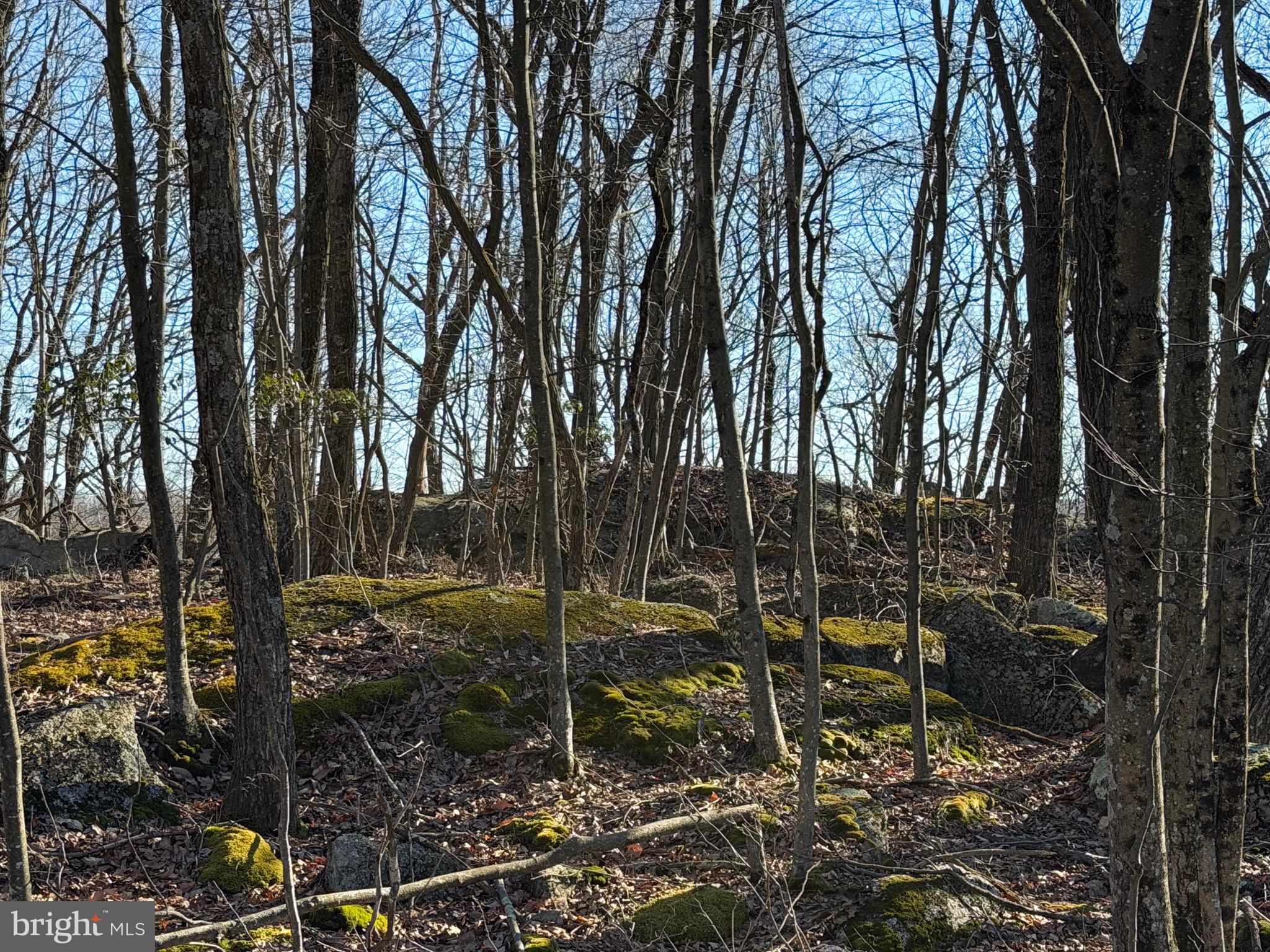 0 S SPRING MOUNTAIN DRIVE