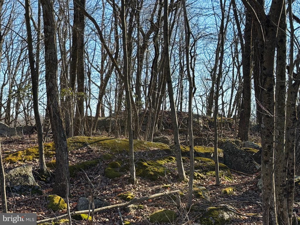 Photo of 0 S Spring Mountain Drive, ZION GROVE, PA 17985 (MLS # PASK2025914)