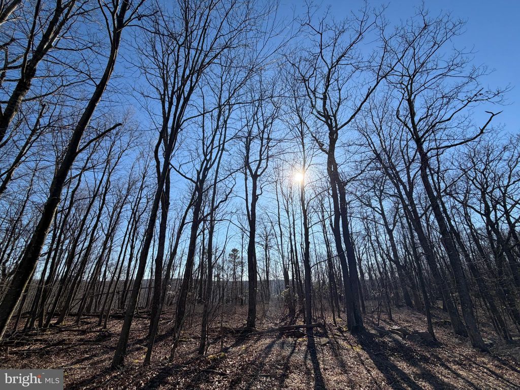 Photo of 0 S Spring Mountain Drive, ZION GROVE, PA 17985 (MLS # PASK2025914)