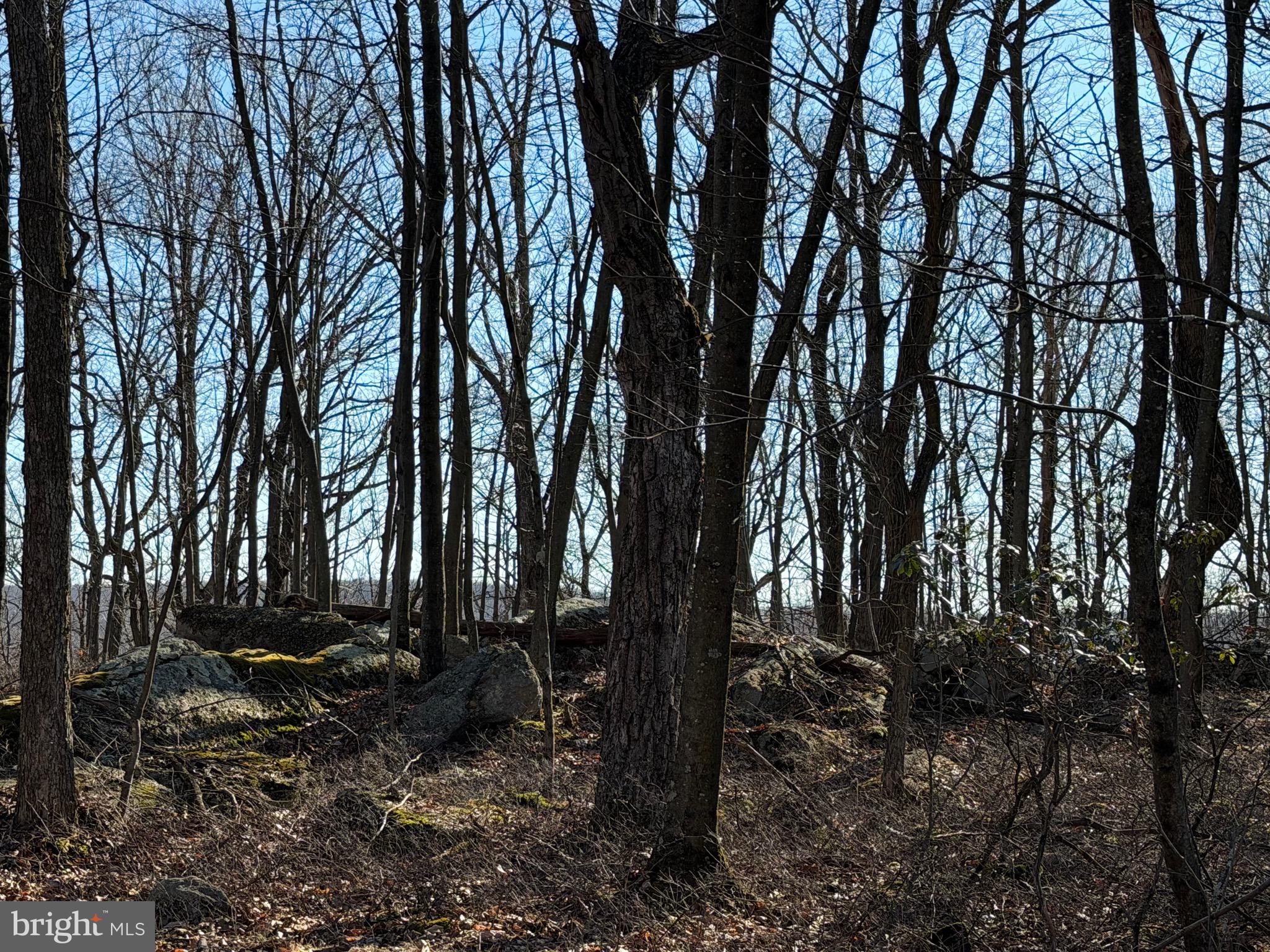 0 S SPRING MOUNTAIN DRIVE