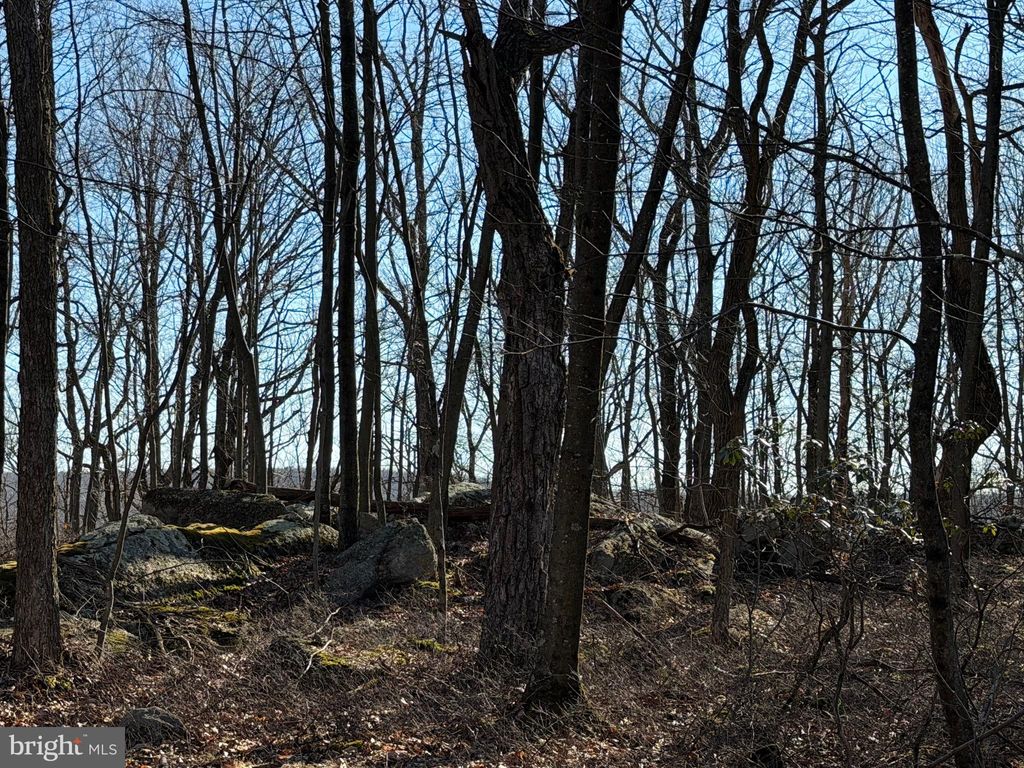 Photo of 0 S Spring Mountain Drive, ZION GROVE, PA 17985 (MLS # PASK2025914)