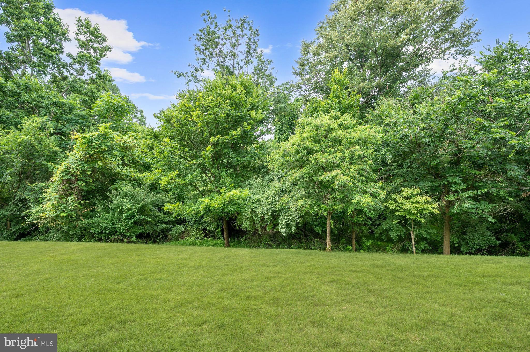 ENCLAVE AT ELLICOTT HILLS - Residential