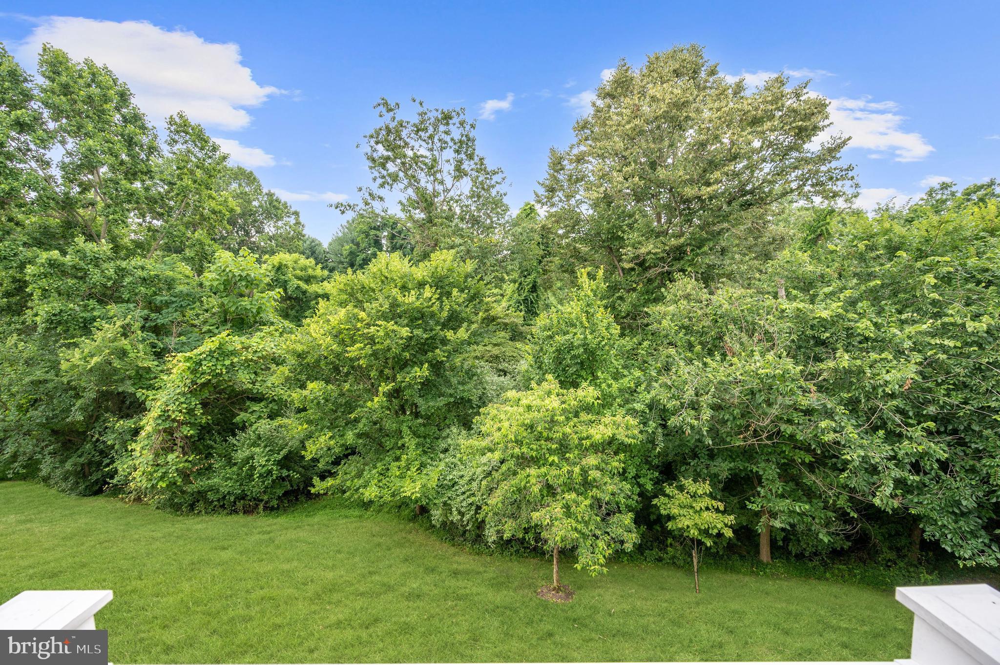 ENCLAVE AT ELLICOTT HILLS - Residential