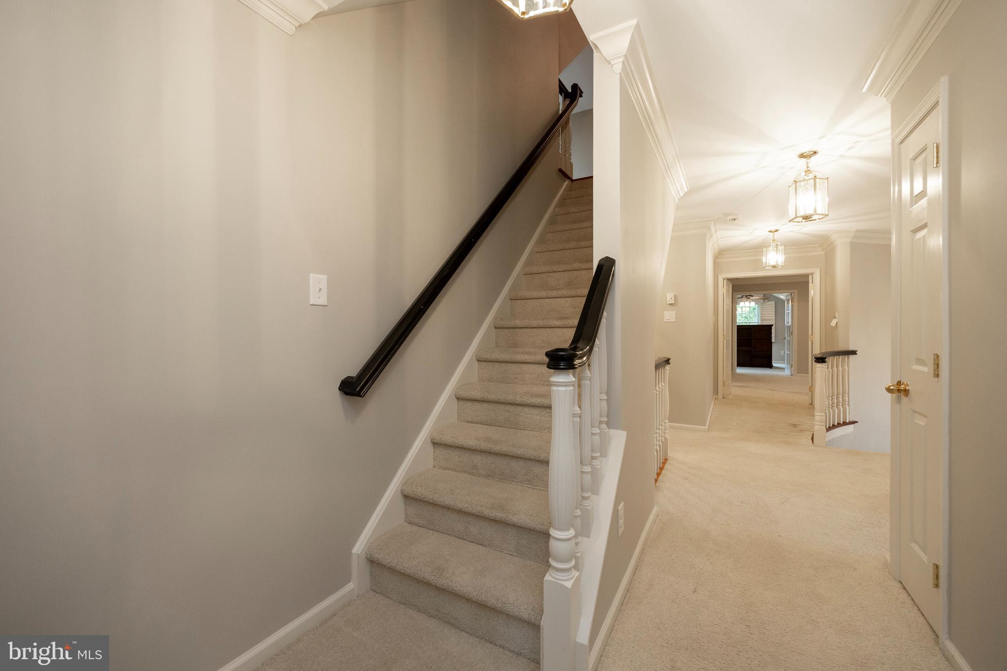 PLUMSOCK - Residential