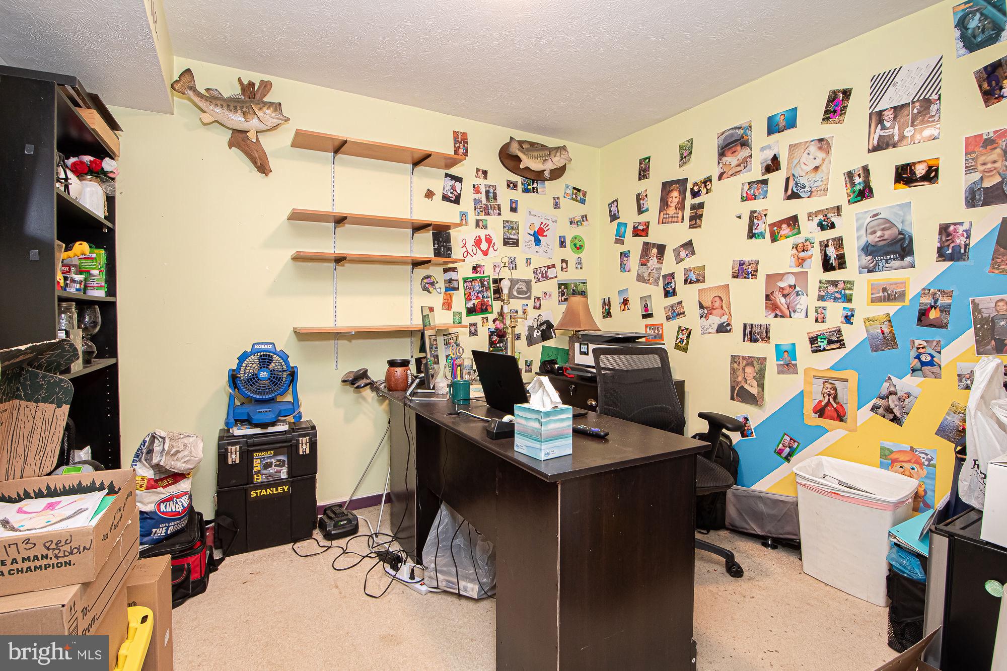 BLUE MOUNTAIN - Residential