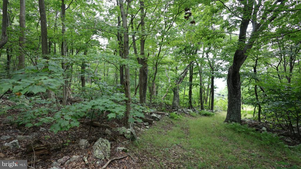1841 PANTHER ROAD