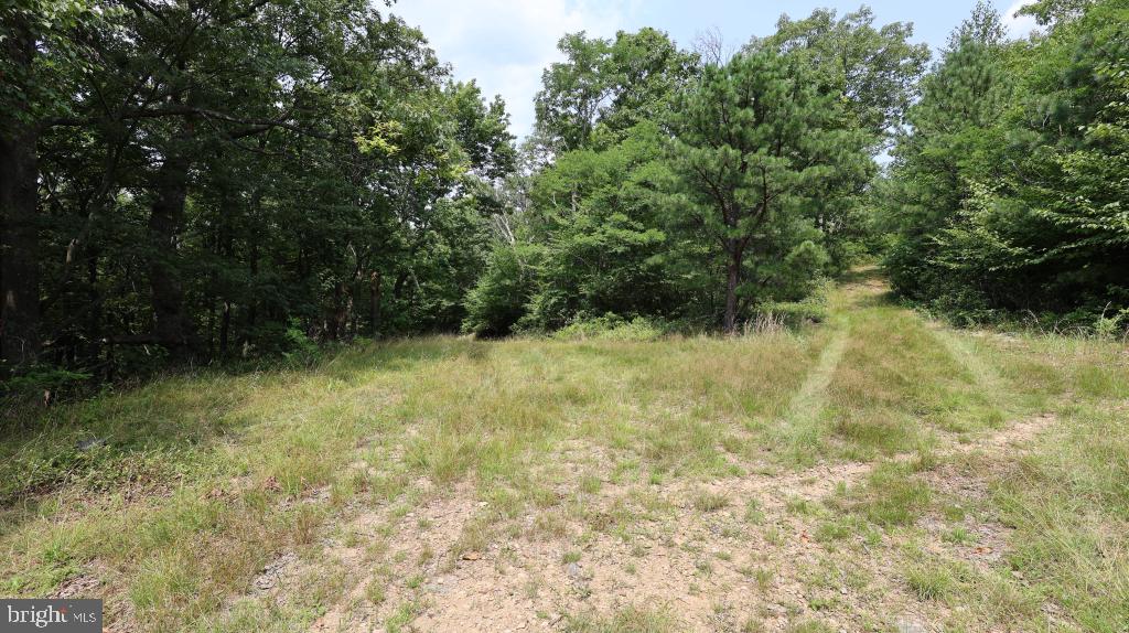 1841 PANTHER ROAD